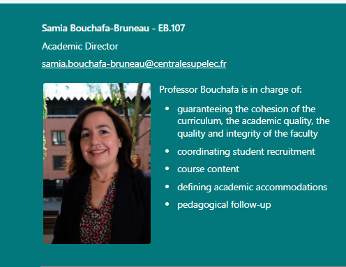 image academic director